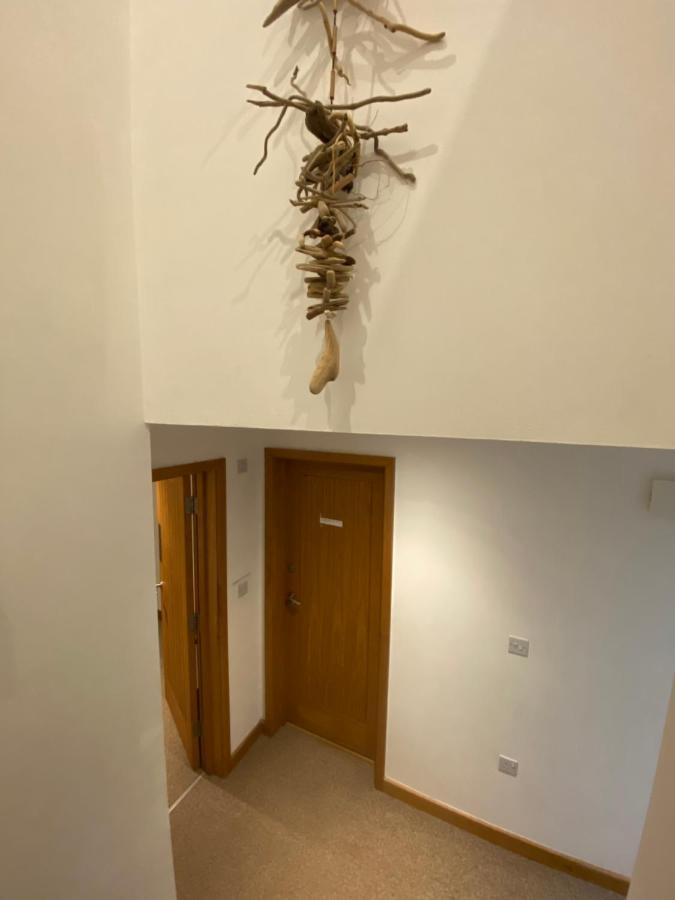 New Quay Ohana House - Unbeatable Location - Uk'S Best Beaches מראה חיצוני תמונה